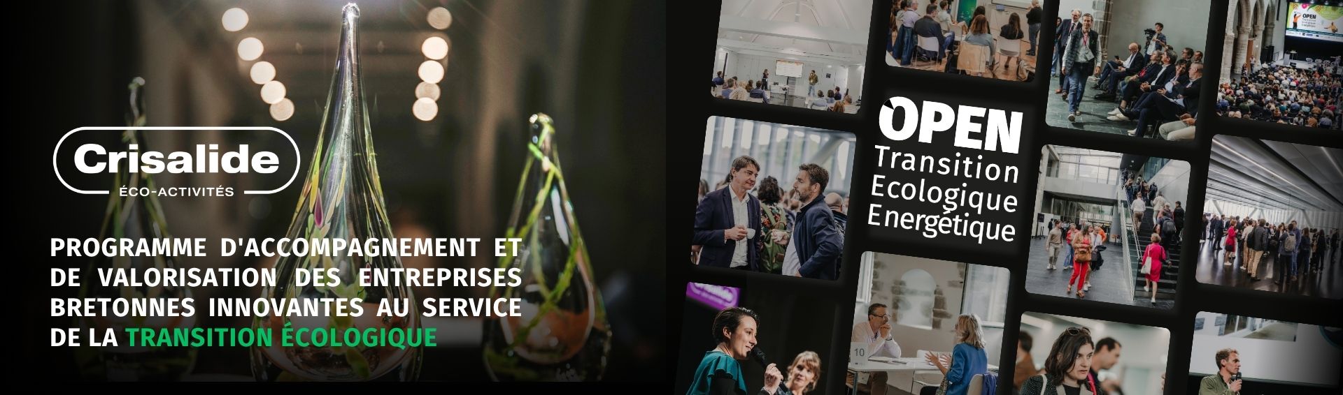 bannier de site Crisalide EA (1)
